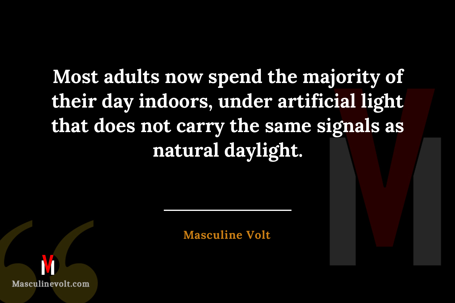 Quote by Masculine Volt