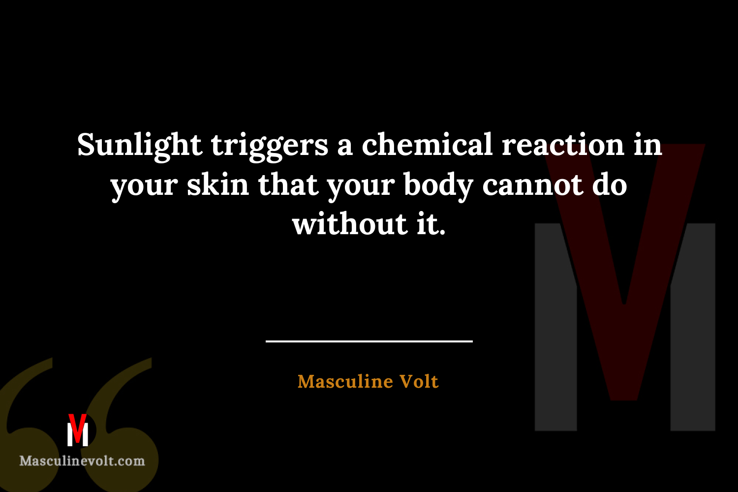 Quote by Masculine Volt