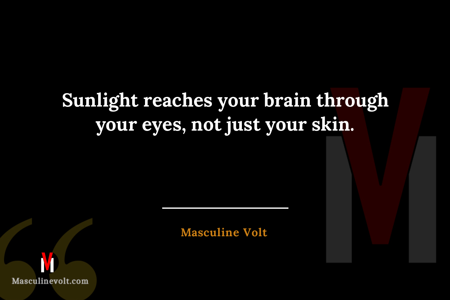 Quote by Masculine Volt