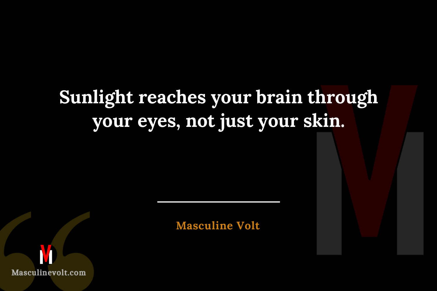 Quote by Masculine Volt
