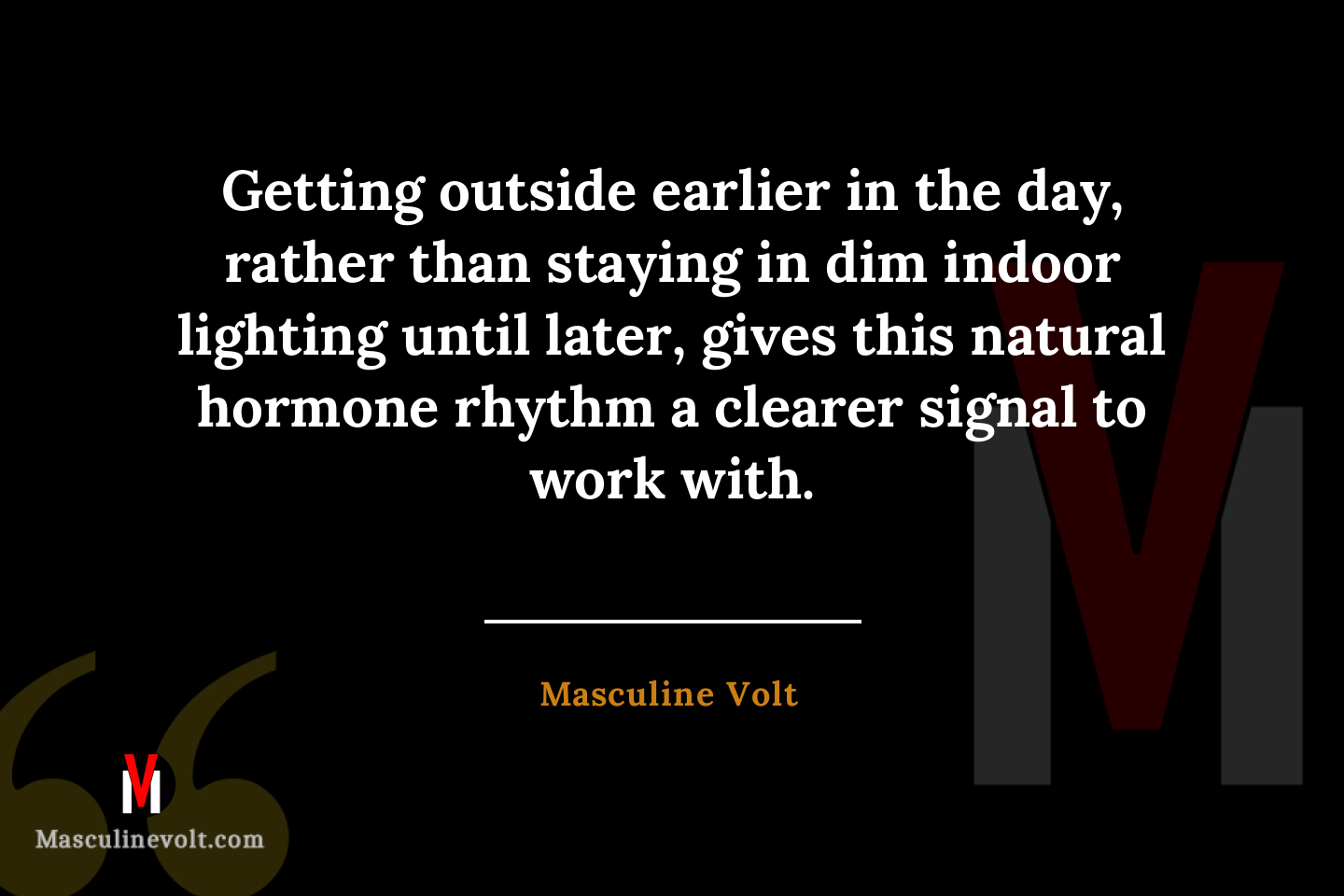 Quote by Masculine Volt